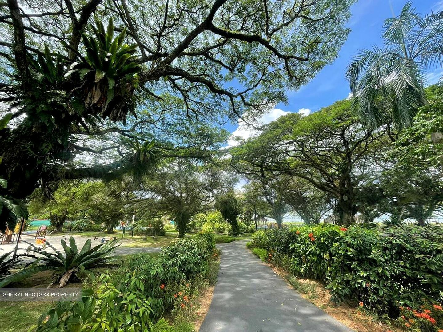 Pasir Ris Beach Park (D18), Semi-Detached #496784401